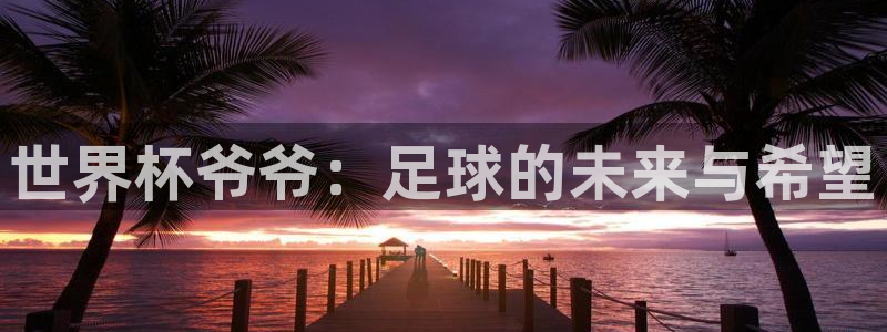 世界杯直播在线观看入口：世界杯爷爷：足球的未来与希望