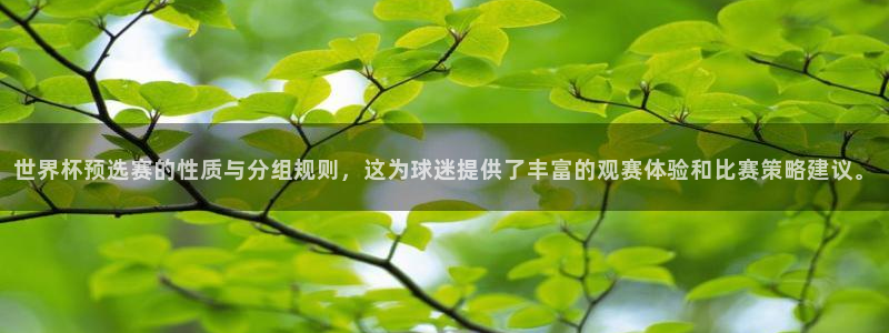 世预赛欧洲赛程表：世界杯预选赛的性质与分组规则，这为球迷提供了丰富的观赛体验和比赛策略建议。