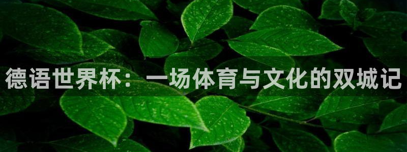 2026世亚预赛赛程表：德语世界杯：一场体育与文化的双城记