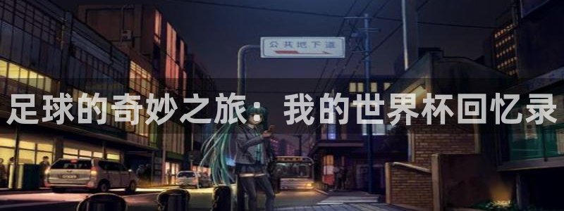 世界杯在线直播入口：足球的奇妙之旅：我的世界杯回忆录