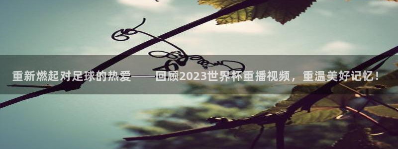 世界杯预选赛2026：重新燃起对足球的热爱——回顾2023世界杯重播视频，重温美好记忆！