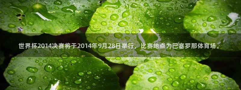 2026世界杯亚洲预选赛赛程：世界杯2014决赛将于2014年9月28日举行，比赛地点为巴塞罗那体育场。