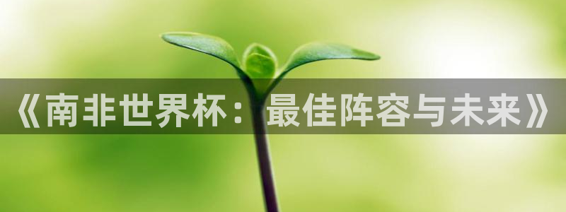 世界杯欧洲区预选赛：《南非世界杯：最佳阵容与未来》