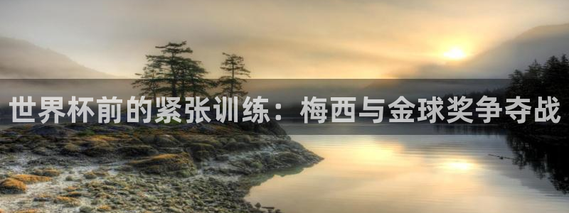 足球世预赛:世界杯前的紧张训练:梅西与金球奖争夺战