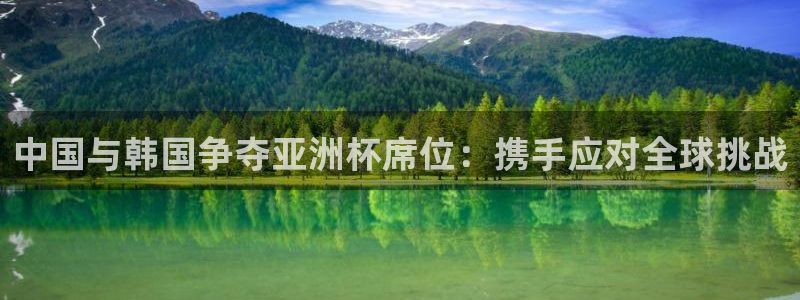 世界杯足球直播：中国与韩国争夺亚洲杯席位：携手应对全球挑战