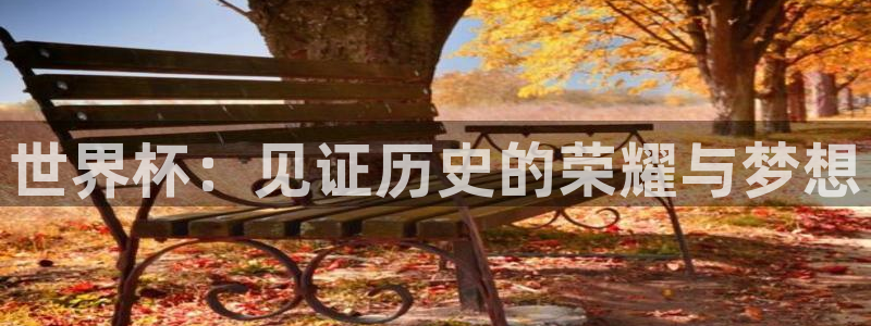 美洲杯直播：世界杯：见证历史的荣耀与梦想