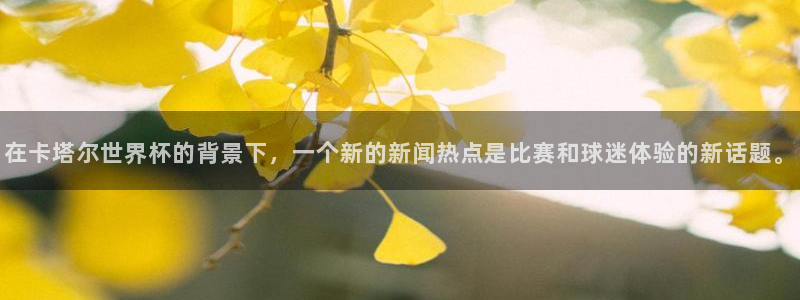 世界杯预选赛亚洲：在卡塔尔世界杯的背景下，一个新的新闻热点是比赛和球迷体验的新话题。