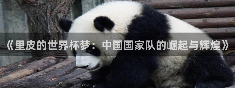 2026 世界杯：《里皮的世界杯梦：中国国家队的崛起与辉煌》