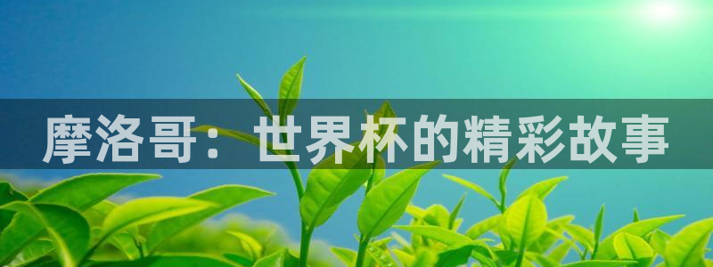 2026年足球世界杯赛程时间表：摩洛哥：世界杯的精彩故事
